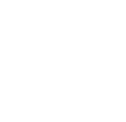 Paragon 28