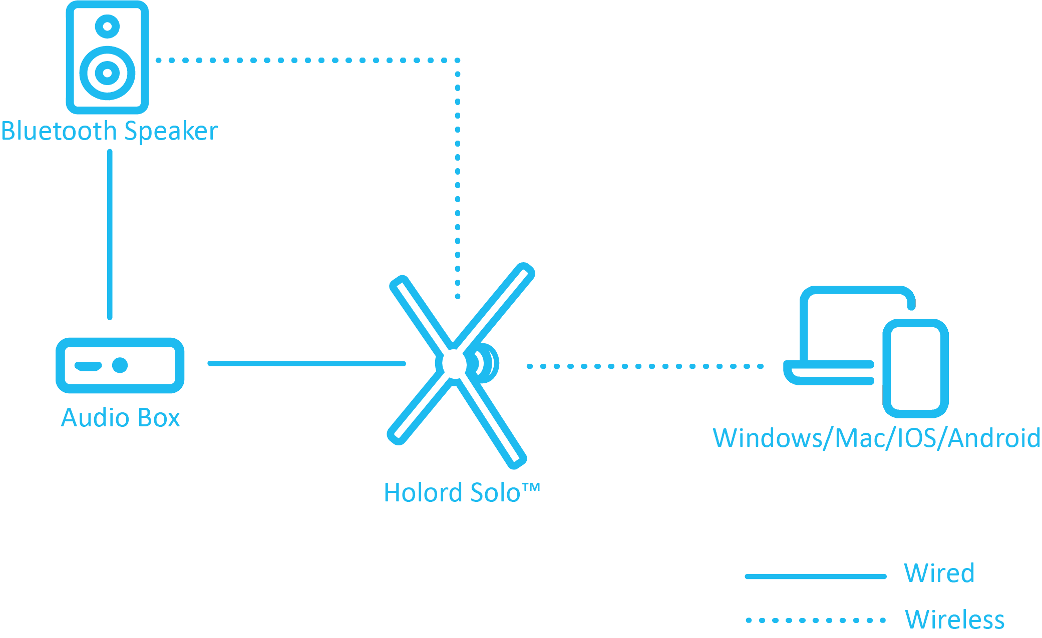 Holord Solo Connectivity Diagram