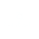 ST Engineering