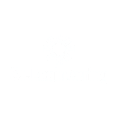 ST Engineering