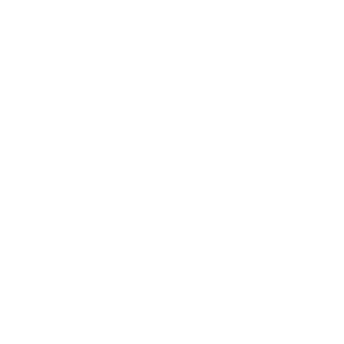 Speedcast-white