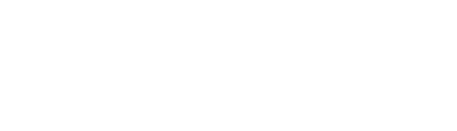 Shimizu Logo